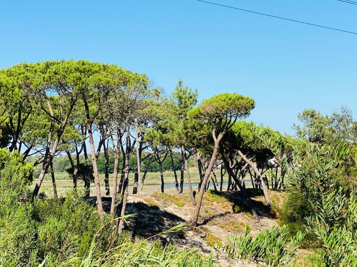Villa Possanco, Comporta Beach Villa Extérieur photo